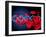 DNA And Red Blood Cells-Victor Habbick-Framed Photographic Print