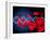 DNA And Red Blood Cells-Victor Habbick-Framed Photographic Print