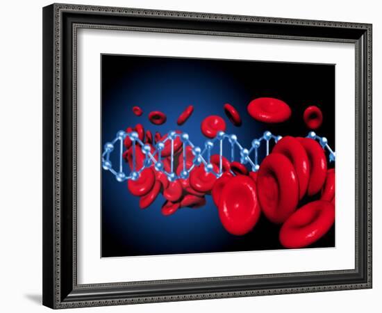 DNA And Red Blood Cells-Victor Habbick-Framed Photographic Print