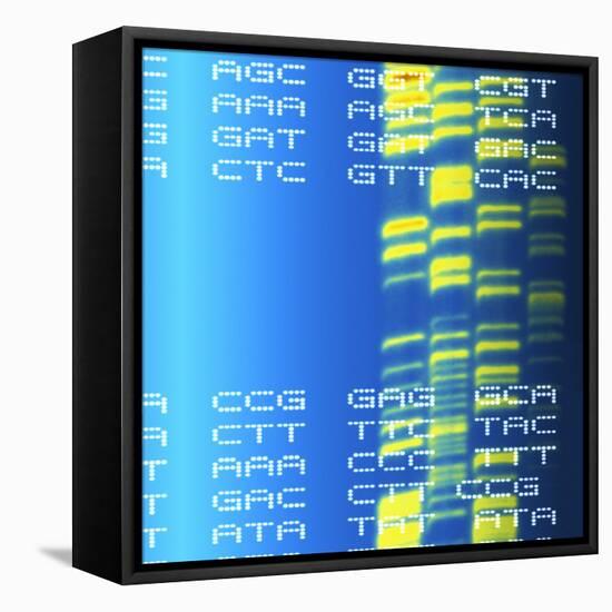 DNA Autoradiogram And Codons-Mehau Kulyk-Framed Premier Image Canvas