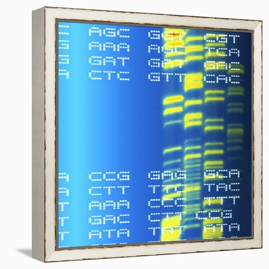 DNA Autoradiogram And Codons-Mehau Kulyk-Framed Premier Image Canvas