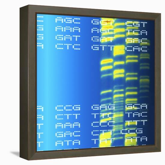 DNA Autoradiogram And Codons-Mehau Kulyk-Framed Premier Image Canvas