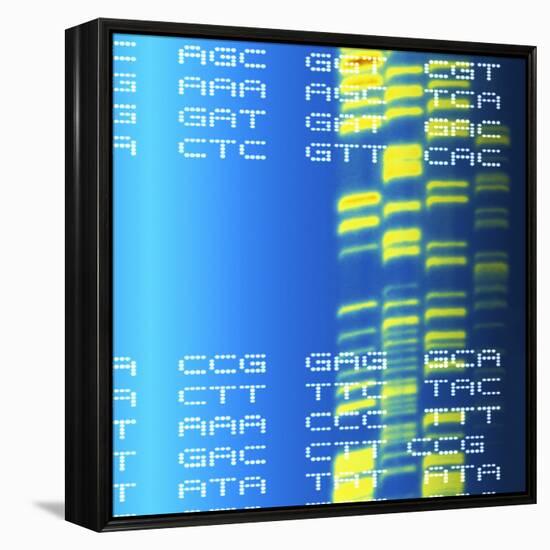 DNA Autoradiogram And Codons-Mehau Kulyk-Framed Premier Image Canvas