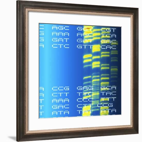 DNA Autoradiogram And Codons-Mehau Kulyk-Framed Photographic Print
