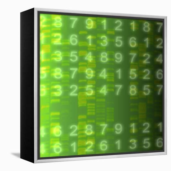 DNA Autoradiogram, Artwork-Mehau Kulyk-Framed Premier Image Canvas