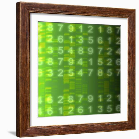 DNA Autoradiogram, Artwork-Mehau Kulyk-Framed Premium Photographic Print