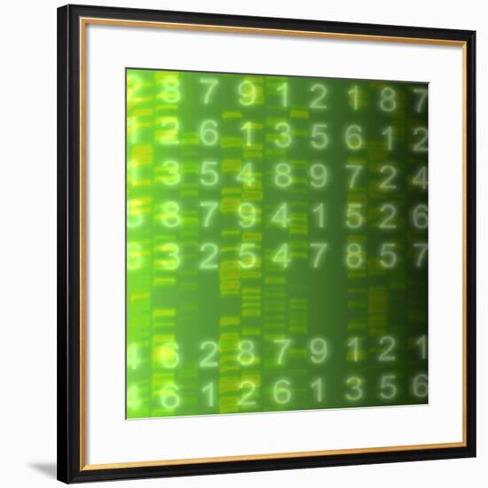 DNA Autoradiogram, Artwork-Mehau Kulyk-Framed Photographic Print