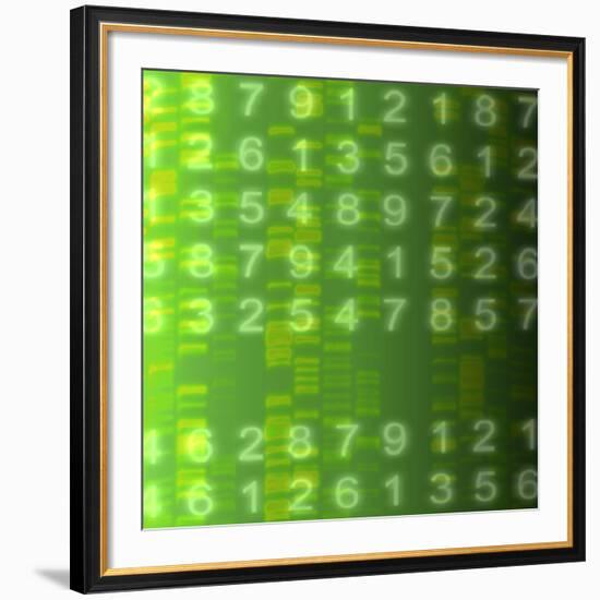 DNA Autoradiogram, Artwork-Mehau Kulyk-Framed Photographic Print