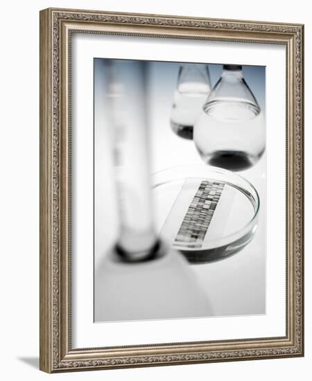 DNA Autoradiogram-Tek Image-Framed Photographic Print