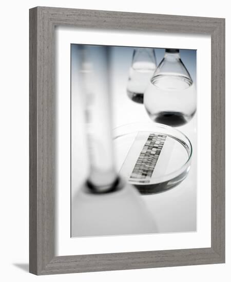 DNA Autoradiogram-Tek Image-Framed Photographic Print