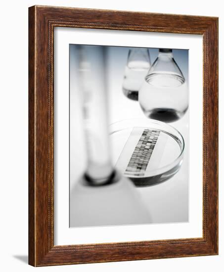 DNA Autoradiogram-Tek Image-Framed Photographic Print