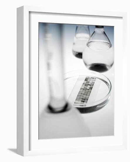 DNA Autoradiogram-Tek Image-Framed Photographic Print