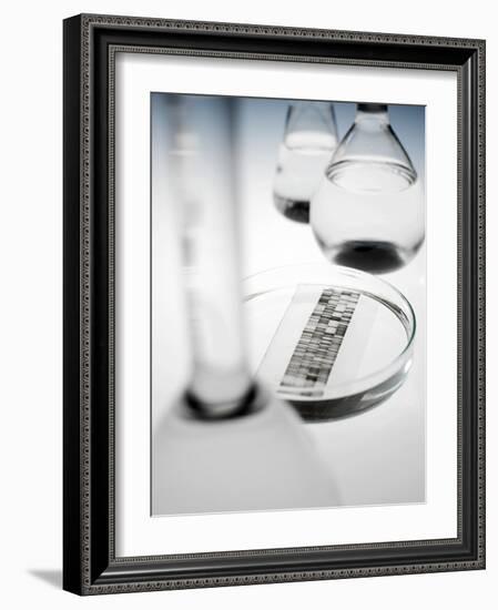 DNA Autoradiogram-Tek Image-Framed Photographic Print