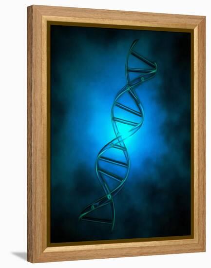 DNA chain in blue light.-Bruce Rolff-Framed Stretched Canvas