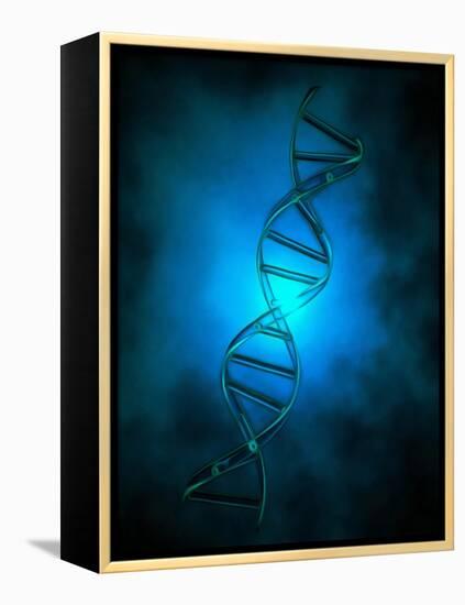 DNA chain in blue light.-Bruce Rolff-Framed Stretched Canvas