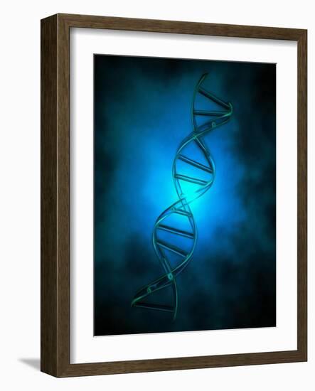 DNA chain in blue light.-Bruce Rolff-Framed Art Print
