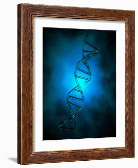 DNA chain in blue light.-Bruce Rolff-Framed Art Print
