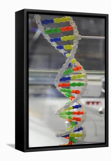 Dna. Deoxyribonucleic Acid, Model-null-Framed Premier Image Canvas