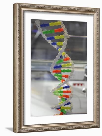 Dna. Deoxyribonucleic Acid, Model-null-Framed Giclee Print