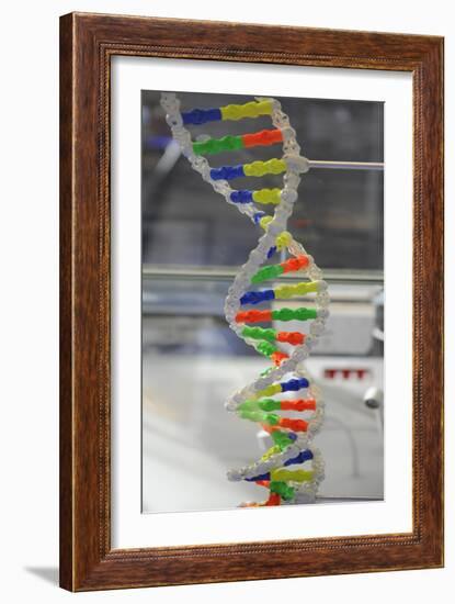 Dna. Deoxyribonucleic Acid, Model-null-Framed Giclee Print