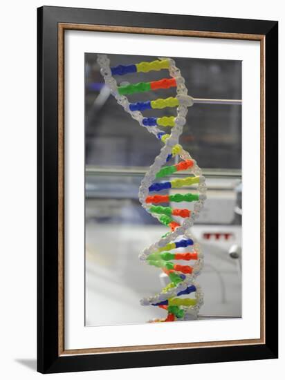 Dna. Deoxyribonucleic Acid, Model-null-Framed Giclee Print