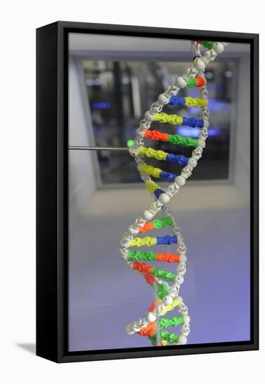 Dna. Deoxyribonucleic Acid, Model-null-Framed Premier Image Canvas