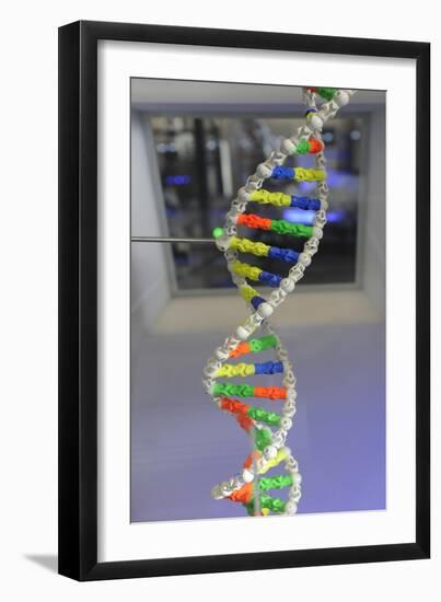 Dna. Deoxyribonucleic Acid, Model-null-Framed Giclee Print