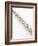 DNA Double Helix with Autoradiograph-David Parker-Framed Photographic Print