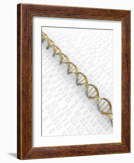 DNA Double Helix with Autoradiograph-David Parker-Framed Photographic Print