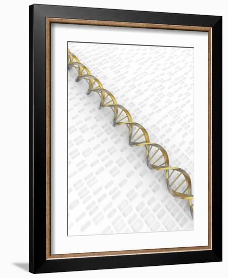 DNA Double Helix with Autoradiograph-David Parker-Framed Photographic Print
