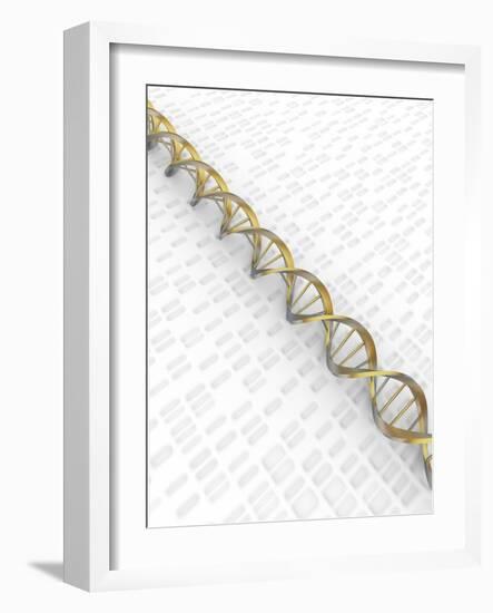 DNA Double Helix with Autoradiograph-David Parker-Framed Photographic Print