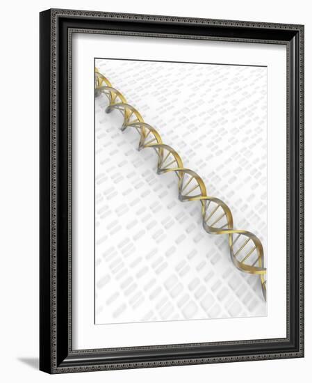 DNA Double Helix with Autoradiograph-David Parker-Framed Photographic Print