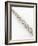 DNA Double Helix with Autoradiograph-David Parker-Framed Photographic Print