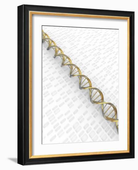 DNA Double Helix with Autoradiograph-David Parker-Framed Photographic Print