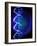 DNA Fingerprint-David Nicholls-Framed Photographic Print