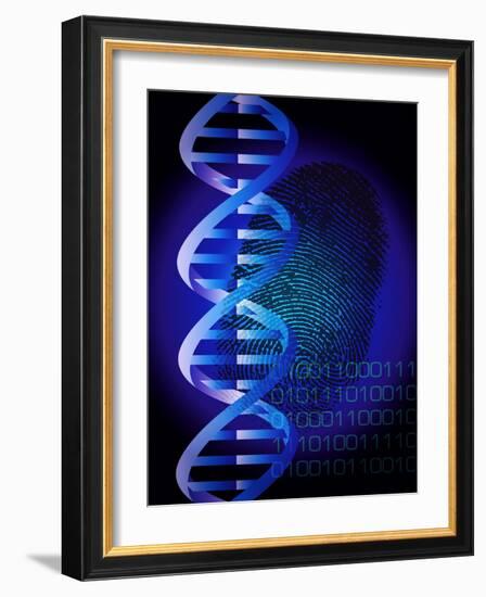 DNA Fingerprint-David Nicholls-Framed Photographic Print