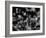 DNA Helices-Christian Darkin-Framed Photographic Print