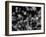 DNA Helices-Christian Darkin-Framed Photographic Print