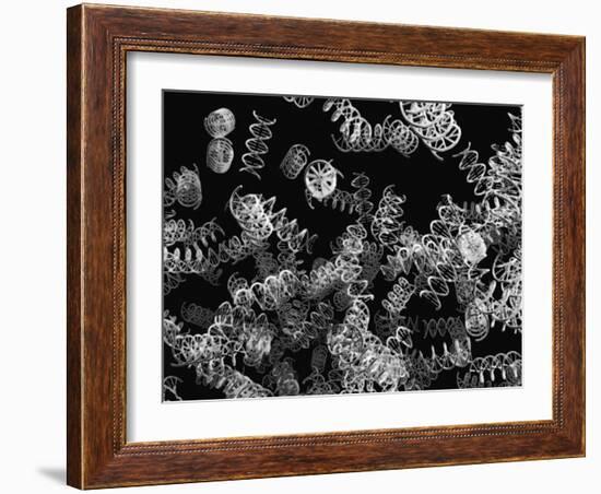 DNA Helices-Christian Darkin-Framed Photographic Print