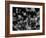 DNA Helices-Christian Darkin-Framed Photographic Print