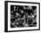 DNA Helices-Christian Darkin-Framed Photographic Print