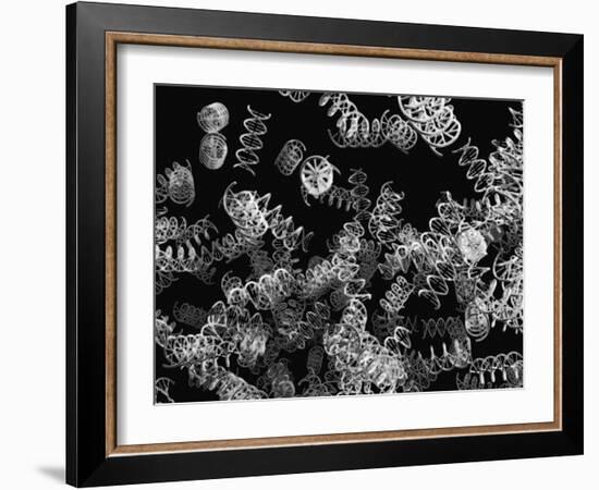 DNA Helices-Christian Darkin-Framed Photographic Print