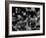 DNA Helices-Christian Darkin-Framed Photographic Print