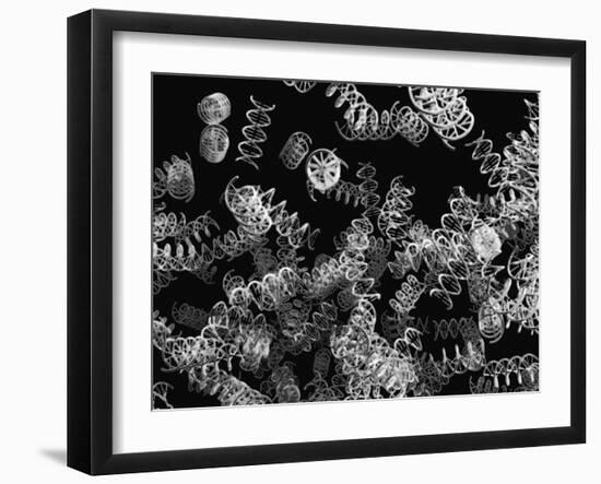 DNA Helices-Christian Darkin-Framed Photographic Print