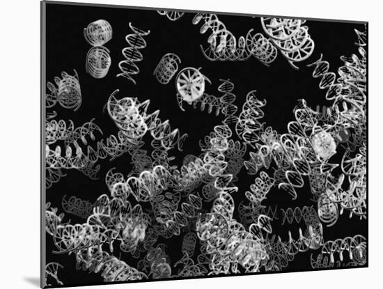 DNA Helices-Christian Darkin-Mounted Photographic Print