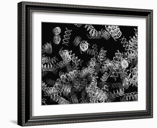 DNA Helices-Christian Darkin-Framed Photographic Print