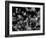 DNA Helices-Christian Darkin-Framed Photographic Print