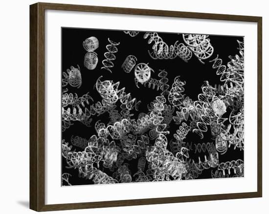 DNA Helices-Christian Darkin-Framed Photographic Print