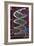 DNA Helix on Circuit Board-Christian Darkin-Framed Photographic Print