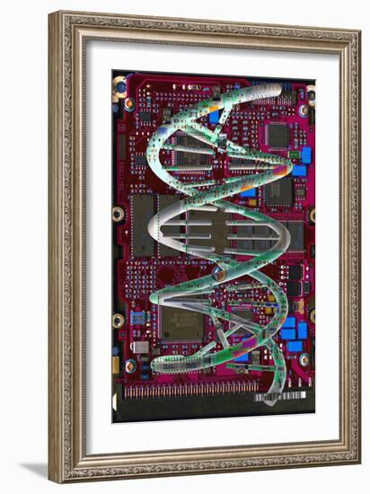 DNA Helix on Circuit Board-Christian Darkin-Framed Photographic Print